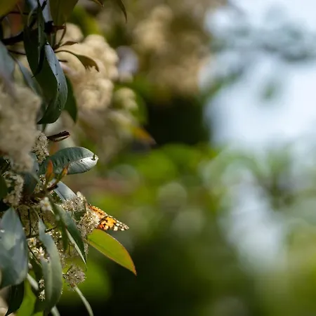 Aifen - Pentru Toata Familia In - Cu Gradina Proprie, La 2 Pasi De Plaja 4*