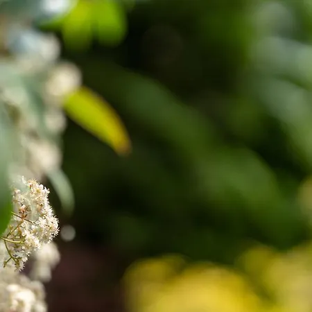 Aifen - Pentru Toata Familia In - Cu Gradina Proprie, La 2 Pasi De Plaja 4* إيفوري نورد