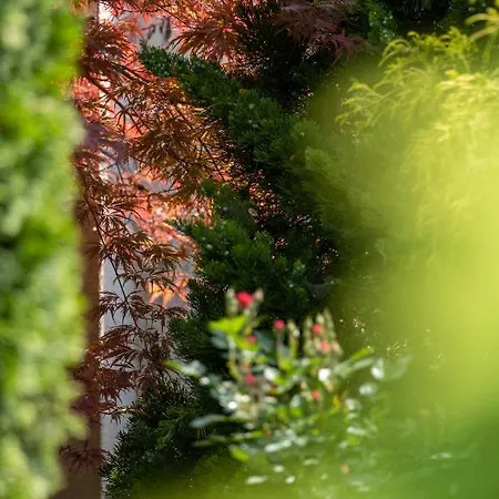 Aifen - Pentru Toata Familia In - Cu Gradina Proprie, La 2 Pasi De Plaja إيفوري نورد