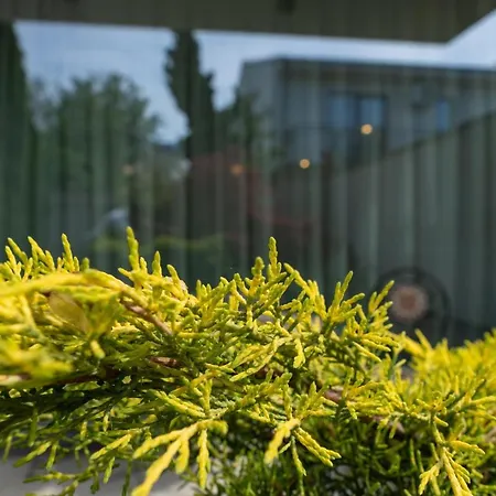 Aifen - Pentru Toata Familia In - Cu Gradina Proprie, La 2 Pasi De Plaja إيفوري نورد