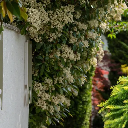 Aifen - Pentru Toata Familia In - Cu Gradina Proprie, La 2 Pasi De Plaja شقة