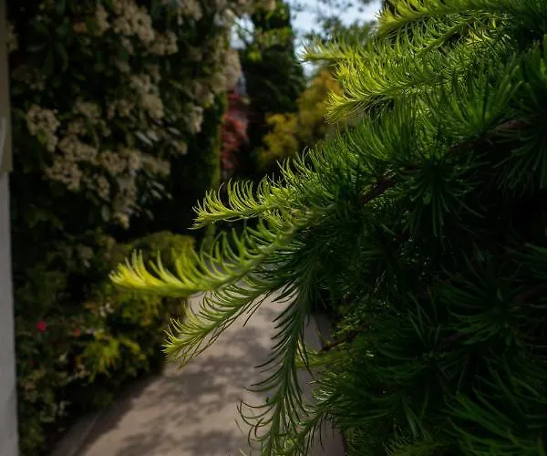 Appartamento Aifen - Pentru Toata Familia In - Cu Gradina Proprie, La 2 Pasi De Plaja 4*