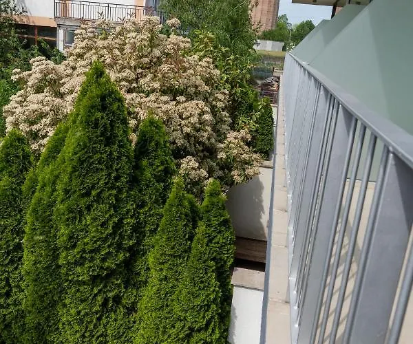 Aifen - Pentru Toata Familia In - Cu Gradina Proprie, La 2 Pasi De Plaja Eforie Nord