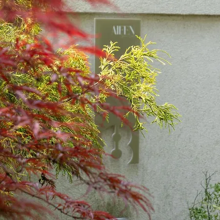 Aifen - Pentru Toata Familia In - Cu Gradina Proprie, La 2 Pasi De Plaja エフォリエ・ノルド