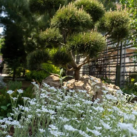 Aifen - Pentru Toata Familia In - Cu Gradina Proprie, La 2 Pasi De Plaja 4*