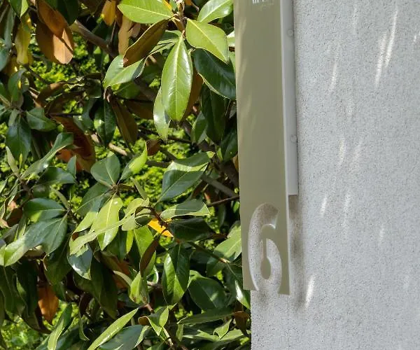 アパート Aifen - Pentru Toata Familia In - Cu Gradina Proprie, La 2 Pasi De Plaja エフォリエ・ノルド