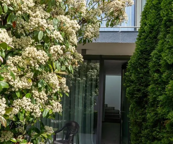 Aifen - Pentru Toata Familia In - Cu Gradina Proprie, La 2 Pasi De Plaja エフォリエ・ノルド