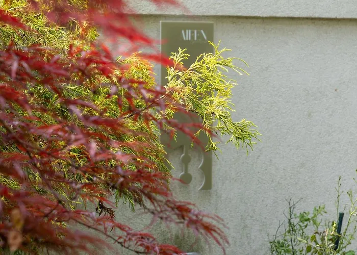 Aifen - Pentru Toata Familia In - Cu Gradina Proprie, La 2 Pasi De Plaja エフォリエ・ノルド