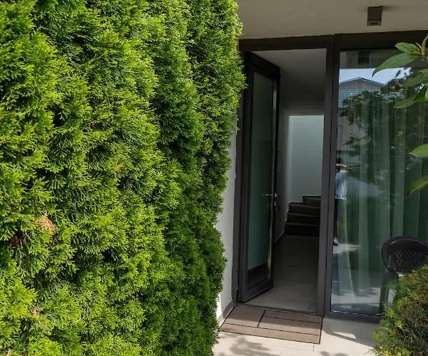 Aifen - Pentru Toata Familia In - Cu Gradina Proprie, La 2 Pasi De Plaja 4* エフォリエ・ノルド