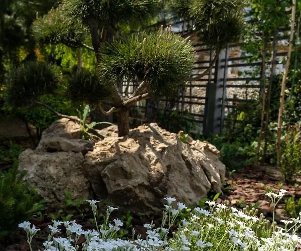 Aifen - Pentru Toata Familia In - Cu Gradina Proprie, La 2 Pasi De Plaja アパート