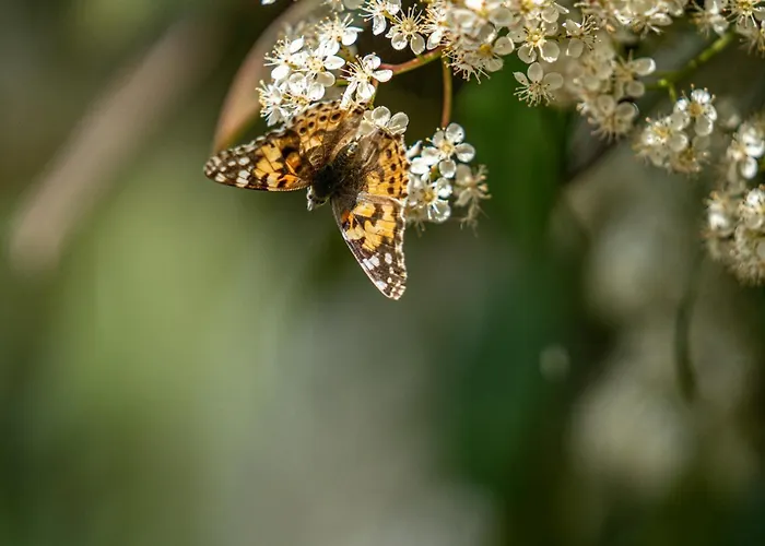 Apartment Aifen - Pentru Toata Familia In - Cu Gradina Proprie, La 2 Pasi De Plaja 4*