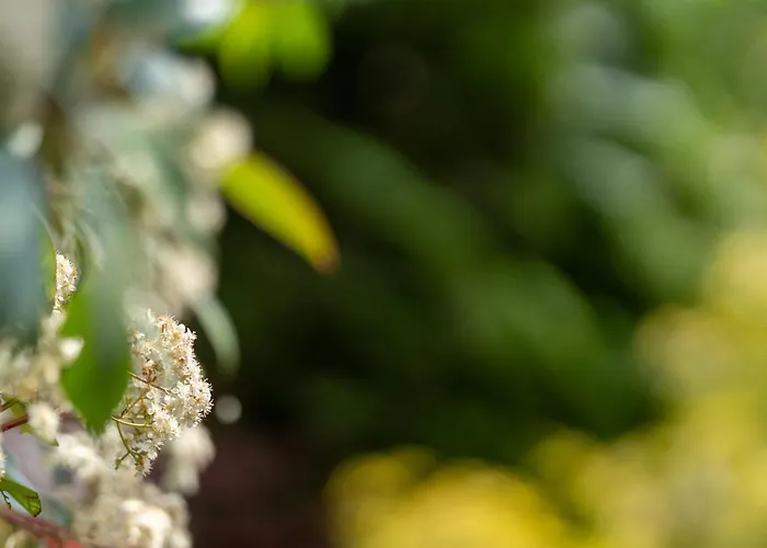 Aifen - Pentru Toata Familia In - Cu Gradina Proprie, La 2 Pasi De Plaja 4* Eforie Nord