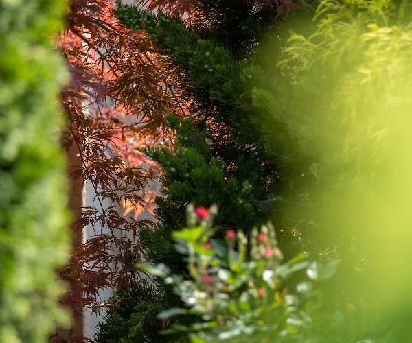 Aifen - Pentru Toata Familia In - Cu Gradina Proprie, La 2 Pasi De Plaja エフォリエ・ノルド