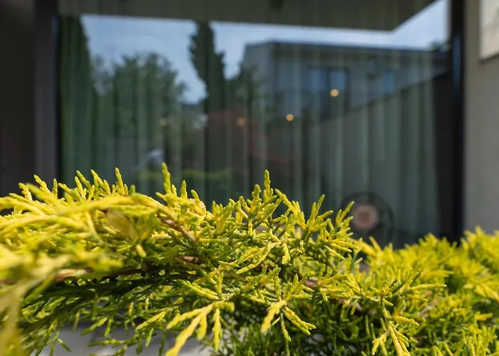 Aifen - Pentru Toata Familia In - Cu Gradina Proprie, La 2 Pasi De Plaja Eforie Nord