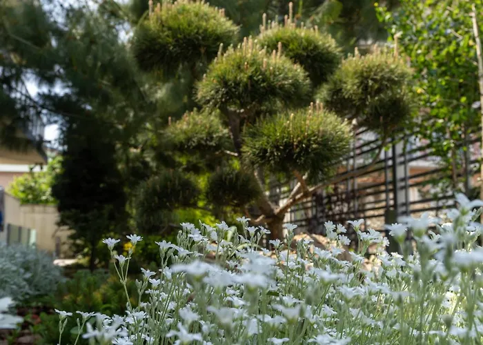 アパート Aifen - Pentru Toata Familia In - Cu Gradina Proprie, La 2 Pasi De Plaja エフォリエ・ノルド