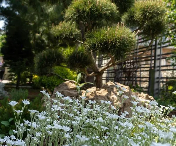 Aifen - Pentru Toata Familia In - Cu Gradina Proprie, La 2 Pasi De Plaja 4*